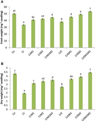 Amelioration of Chromium-Induced Oxidative Stress by Combined Treatment of Selected Plant-Growth-Promoting Rhizobacteria and Earthworms via Modulating the Expression of Genes Related to Reactive Oxygen Species Metabolism in Brassica juncea